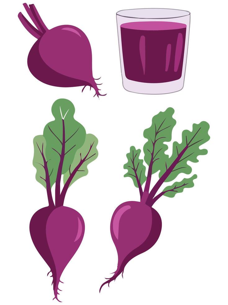 Beetroot Vegetable Icon Cartoon Illustration on White Background vector