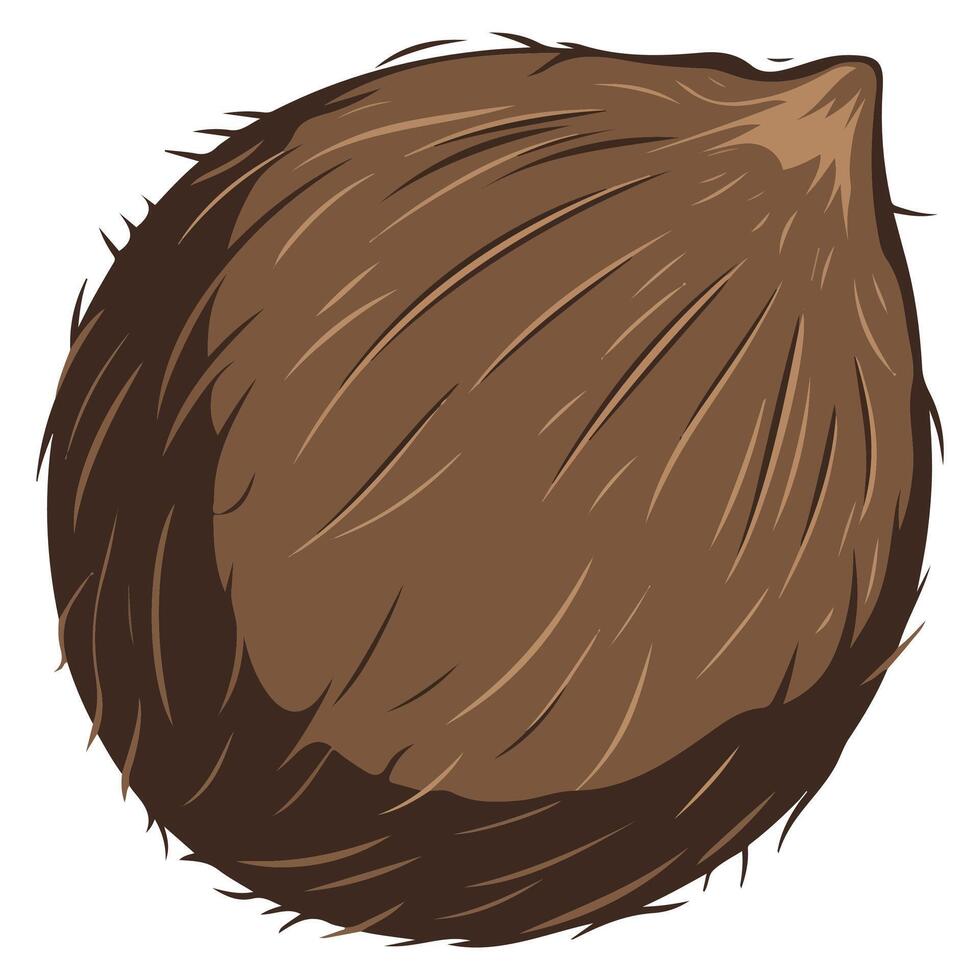 Cartoon Coconut Icon Illustration on White Background vector