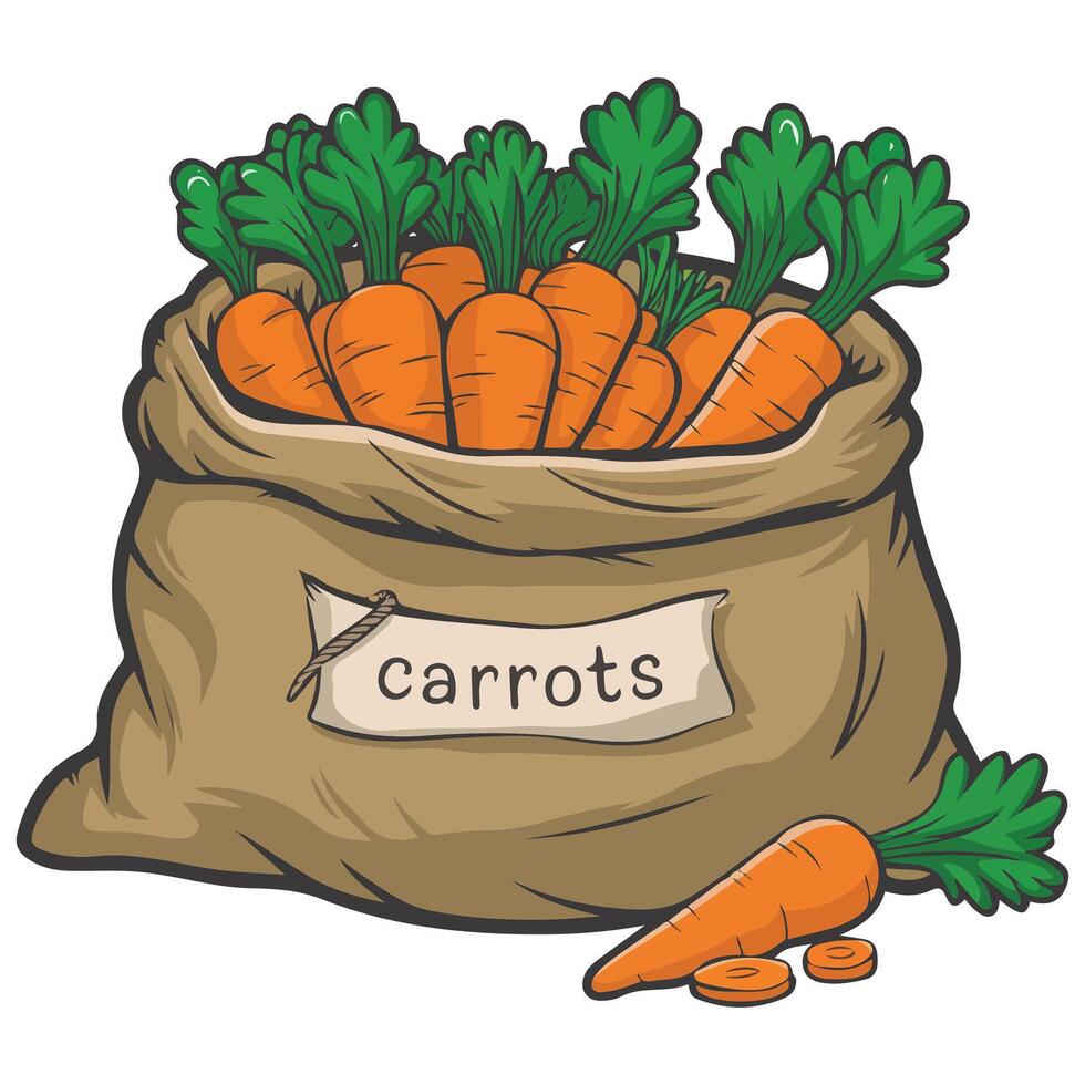Fresh Carrots in a Brown Sack Vegetable Illustration vector