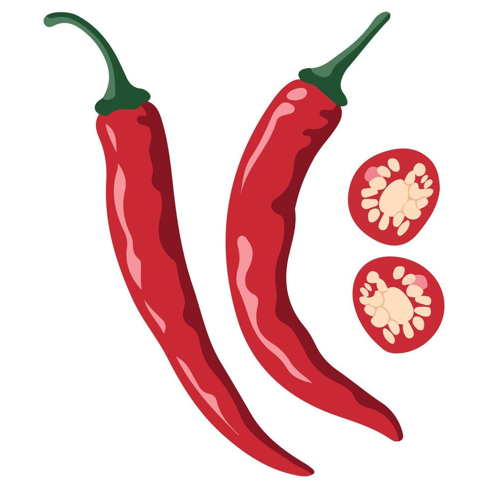 Red Chili Peppers Whole and Sliced Design vector