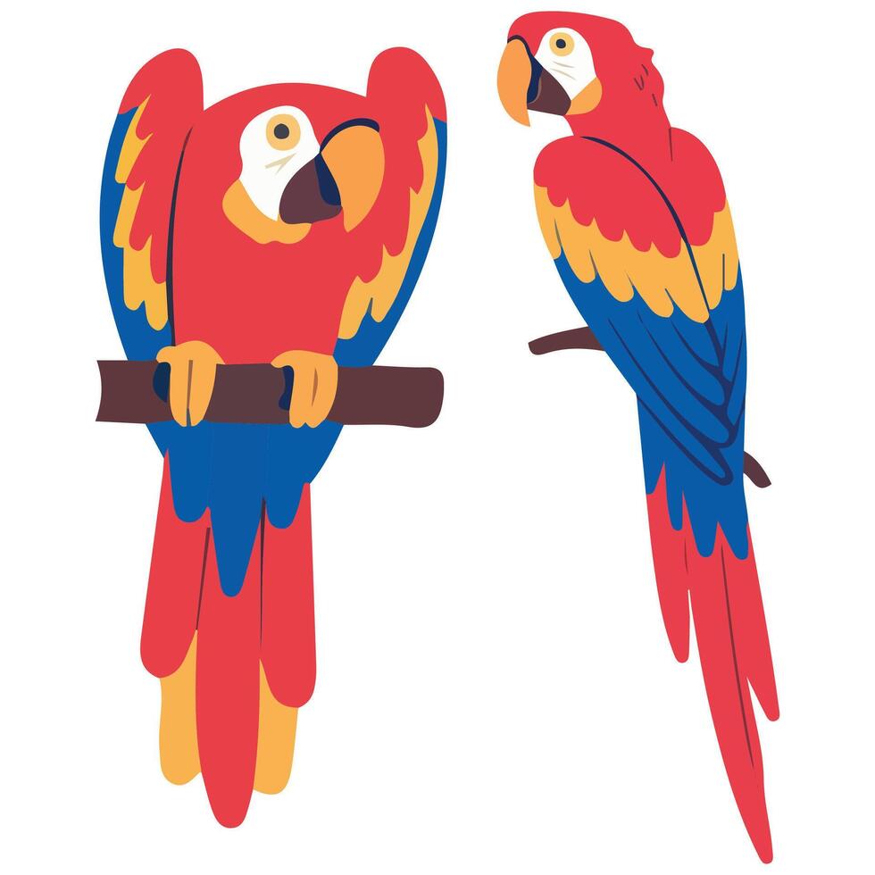 Adult Red-and-Green Macaw Parrot Illustrations Flat Design vector
