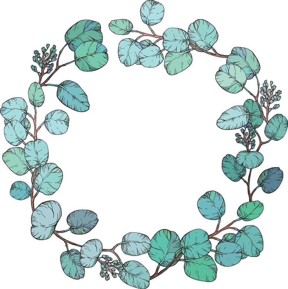 circular wreath made of Eucalyptus leaves vector