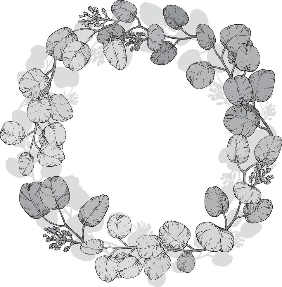 monochrome circular wreath made of Eucalyptus leaves and Foliage vector