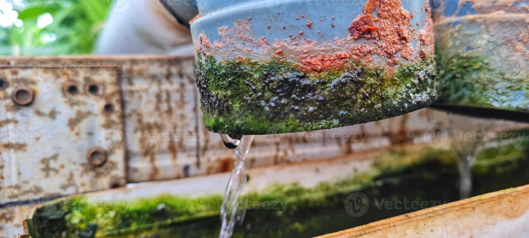 A water pipe is filled with water and green algae photo