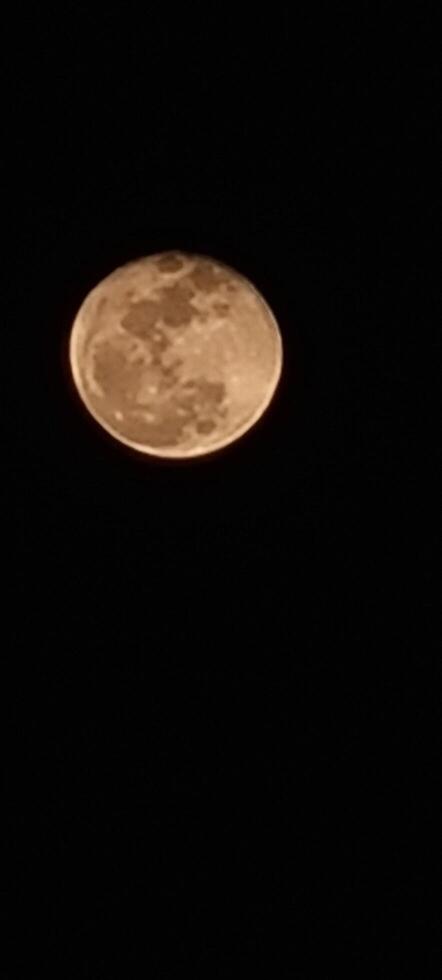 Moon night is beautiful photo