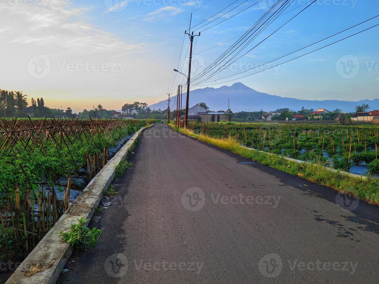 free road with mountain view photo