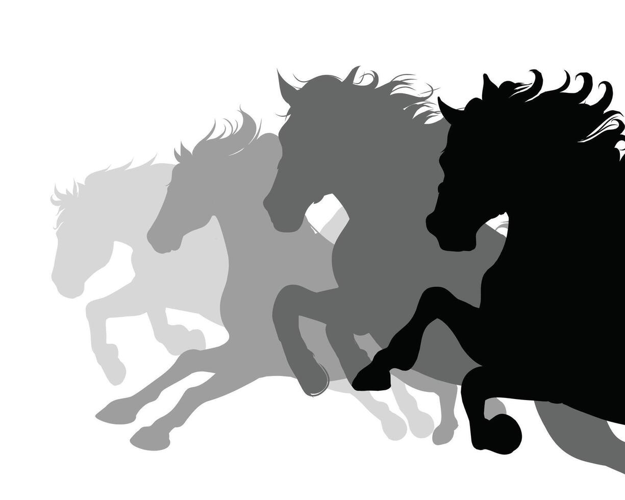 Horses Silhouette group vector