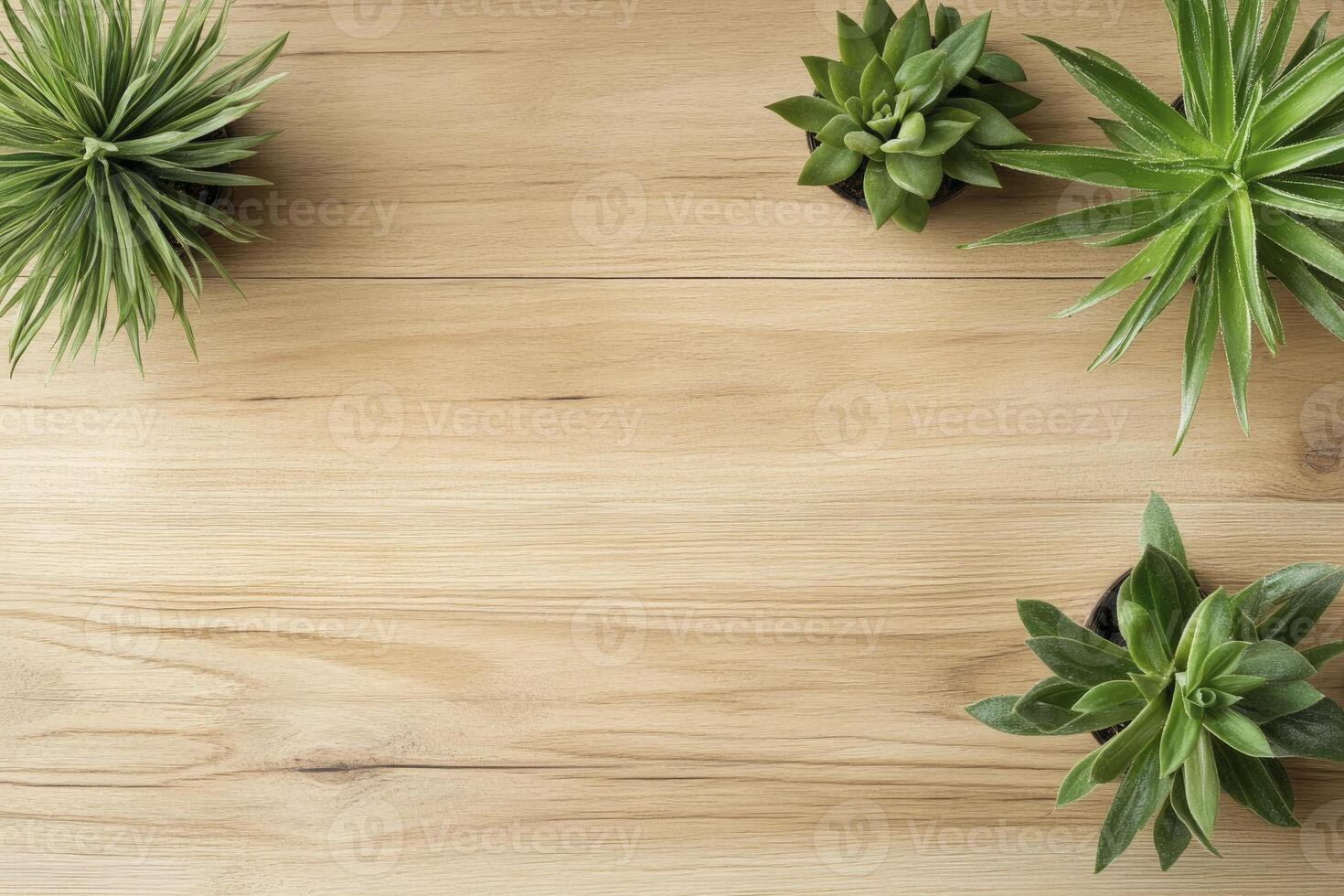 Arrangement of Green Succulents on a Light Wood Background Top View photo