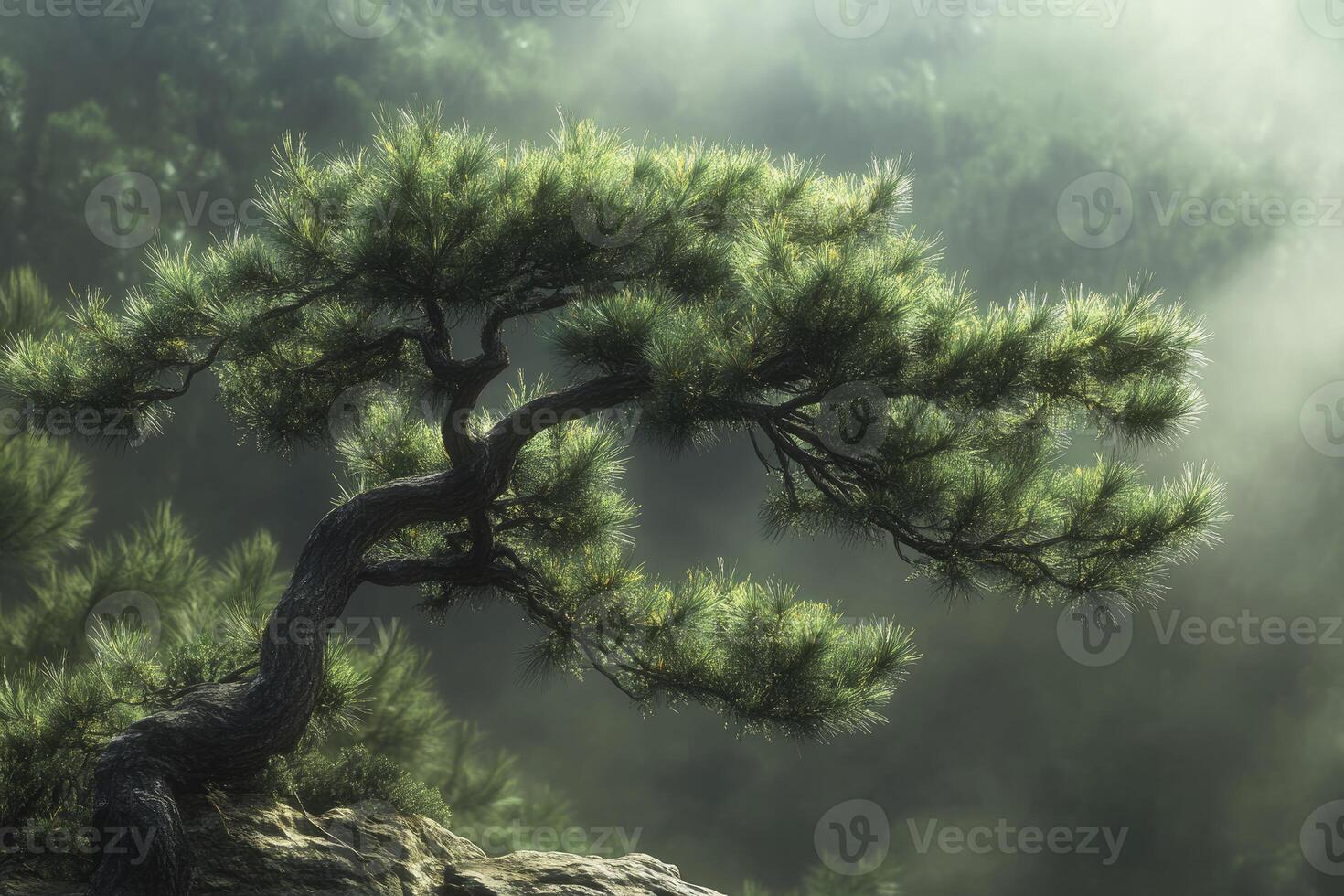 Pine Tree Growing on Rocky Cliffside in Misty Forest Environment photo