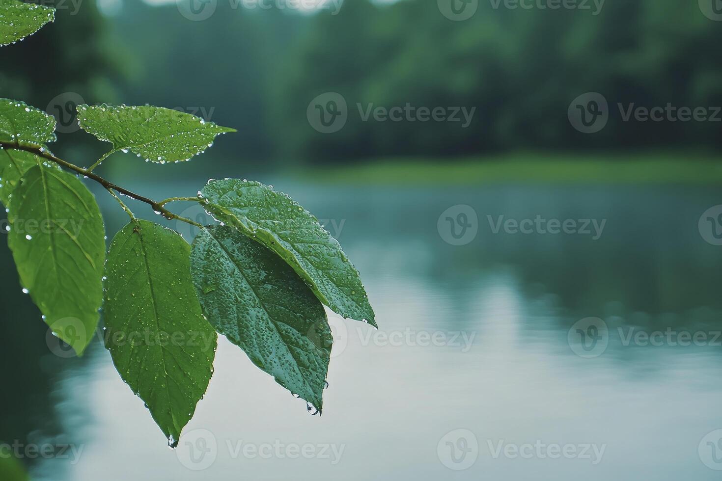 Leaf with Water Droplets Overlooking Calm Lake Surrounded by Trees photo