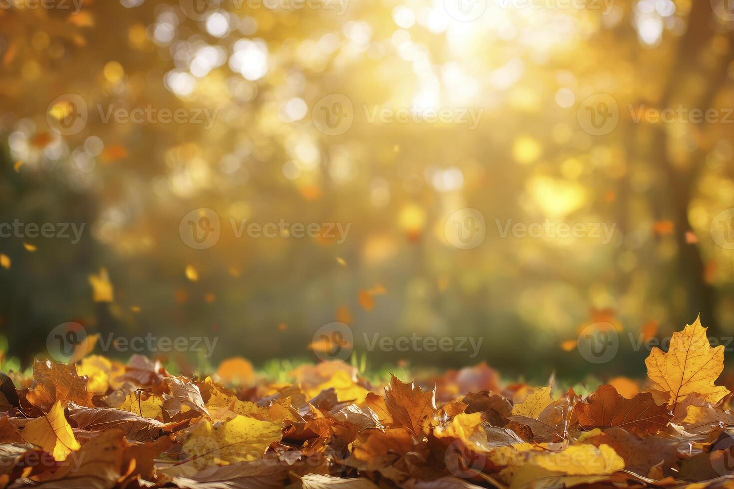 Falling Autumn Leaves on Ground with Golden Sunlight in Background photo