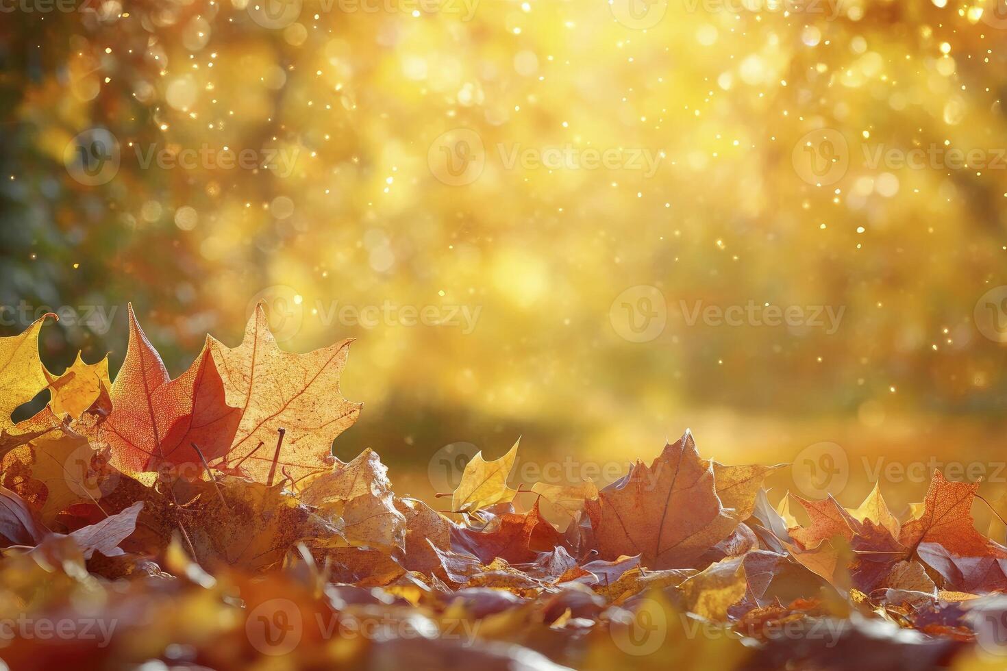 Fallen Autumn Leaves on Ground with Bokeh Lights in Background photo