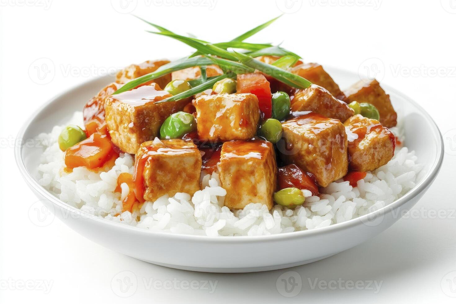 Tofu with Vegetables and Rice in a Bowl Close-up Studio Shot photo