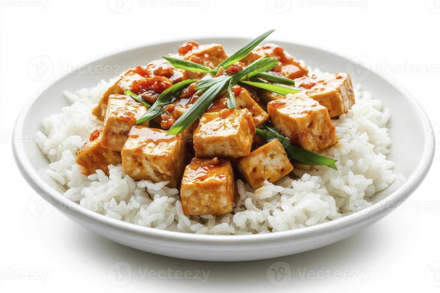 Savory Tofu with Rice in Bowl Garnished with Greens Close-up photo