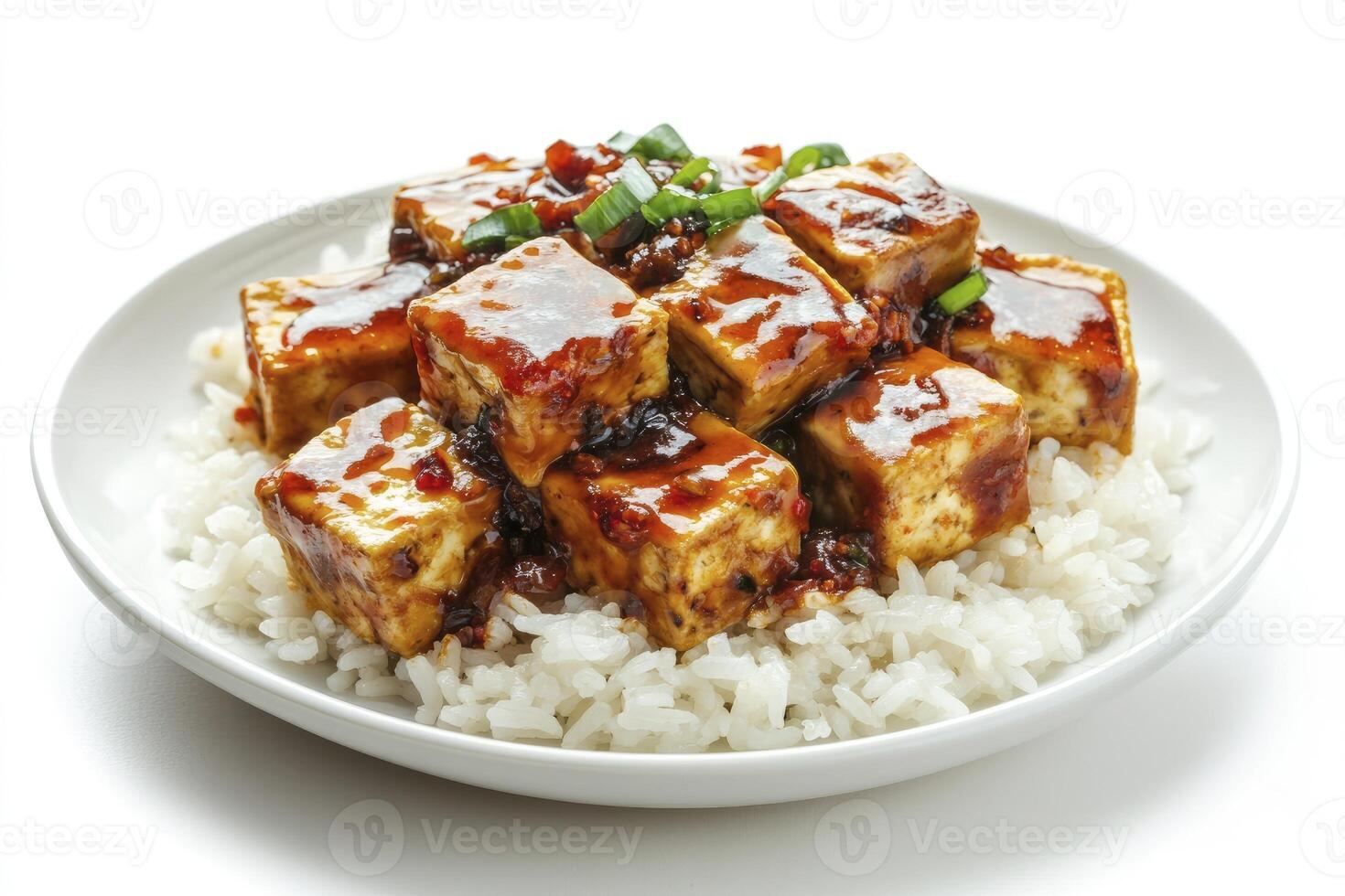 Serving of Tofu and Rice Dish with Spicy Glaze Topping photo