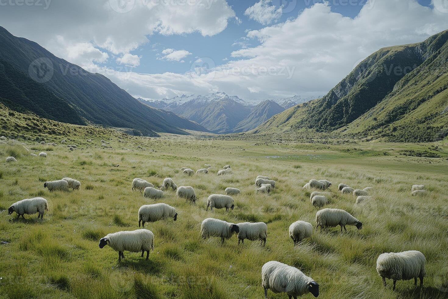 Sheep Grazing in Mountain Valley with Cloudy Sky and Snow Peaks photo