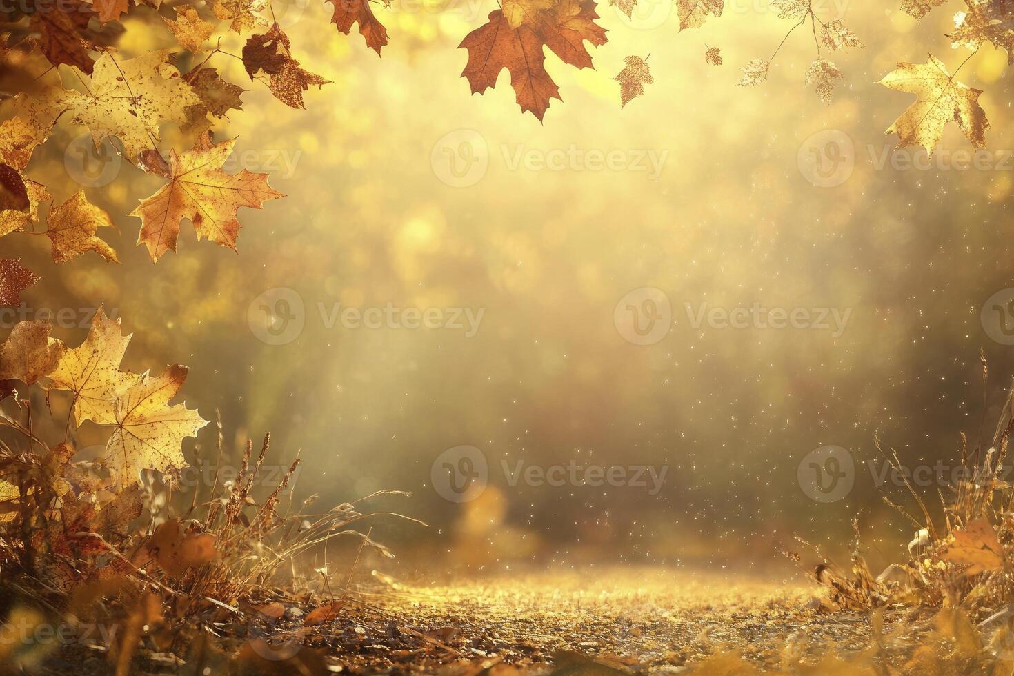 Golden Autumn Leaves and Sunlight Creating a Magical Fall Forest Scene photo