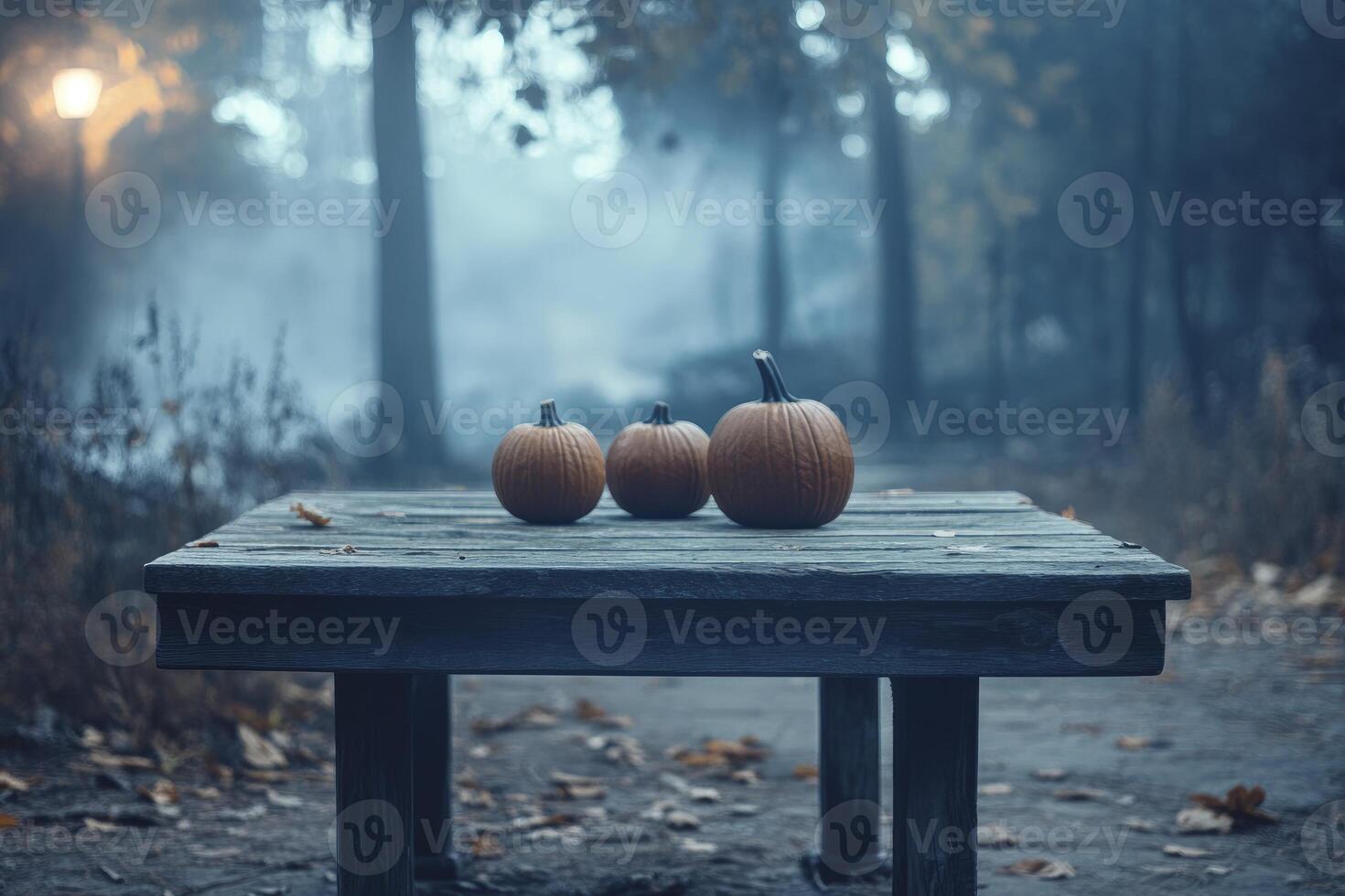 Three Pumpkins on Wooden Table in Atmospheric Foggy Autumn Landscape photo