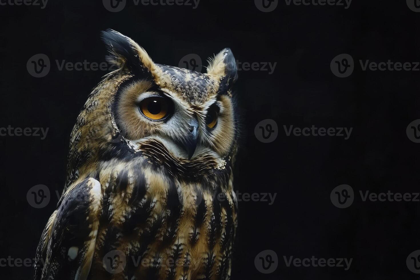 Majestic Owl Portrait with Intense Gaze Against Dark Background Wildlife photo
