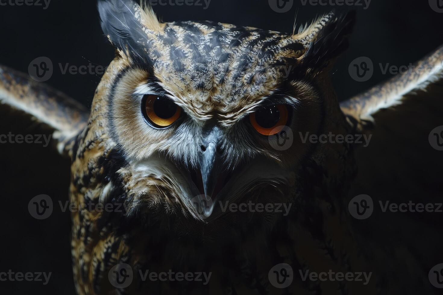 Close-up of an Owl with Open Wings on a Dark Background photo