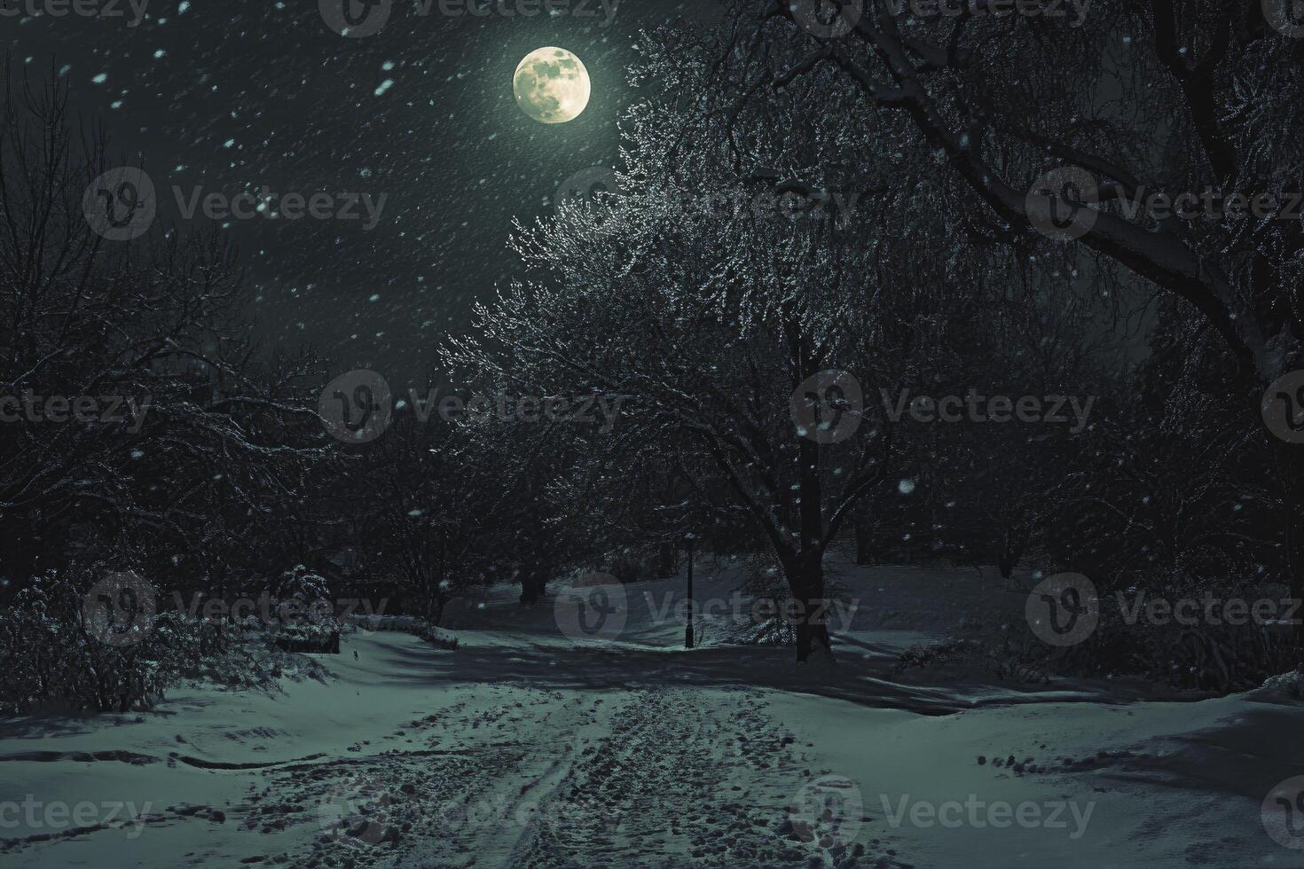 Snowy Park at Night with Full Moon and Falling Snowflakes photo