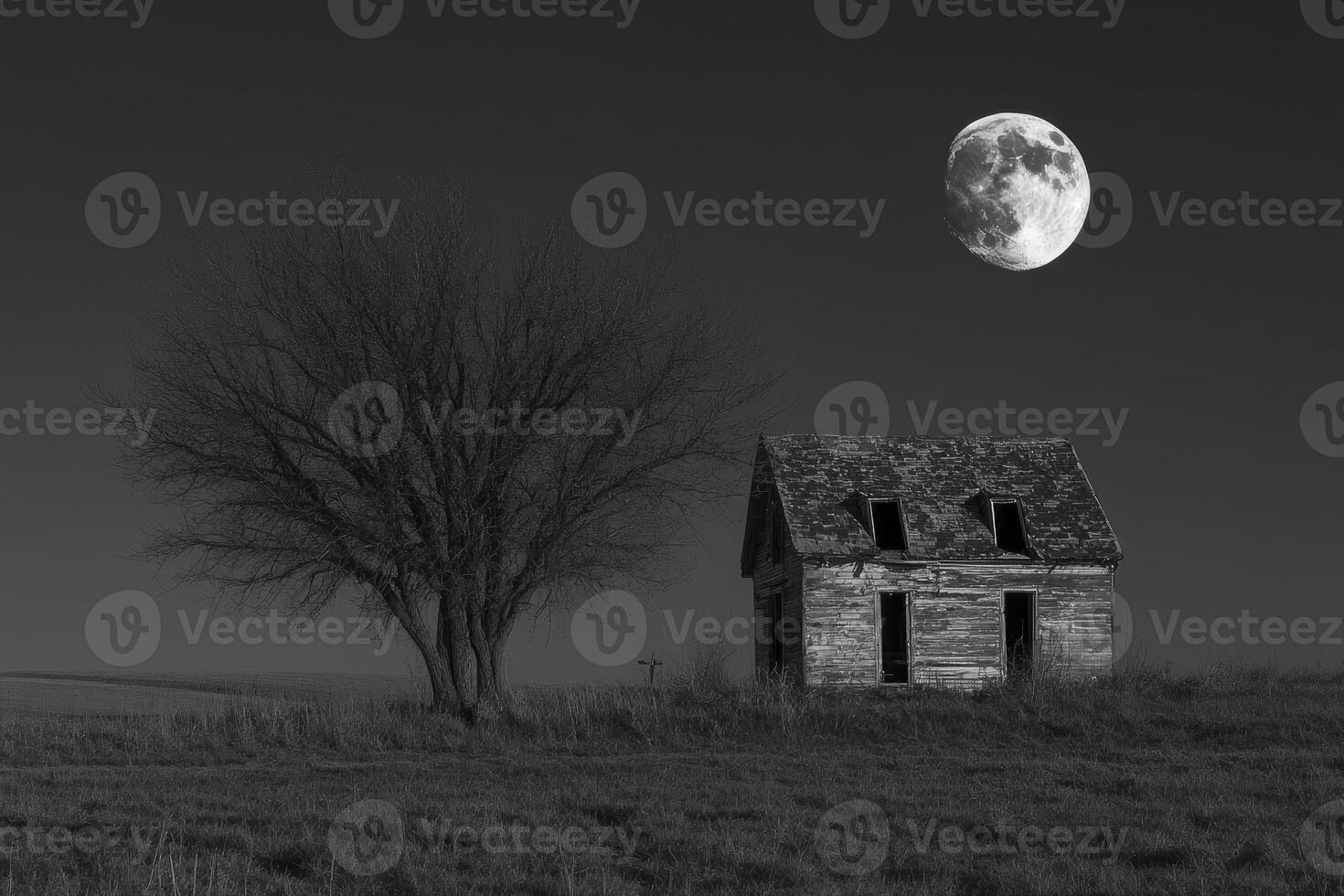 Abandoned House at Night with Full Moon and Bare Tree photo