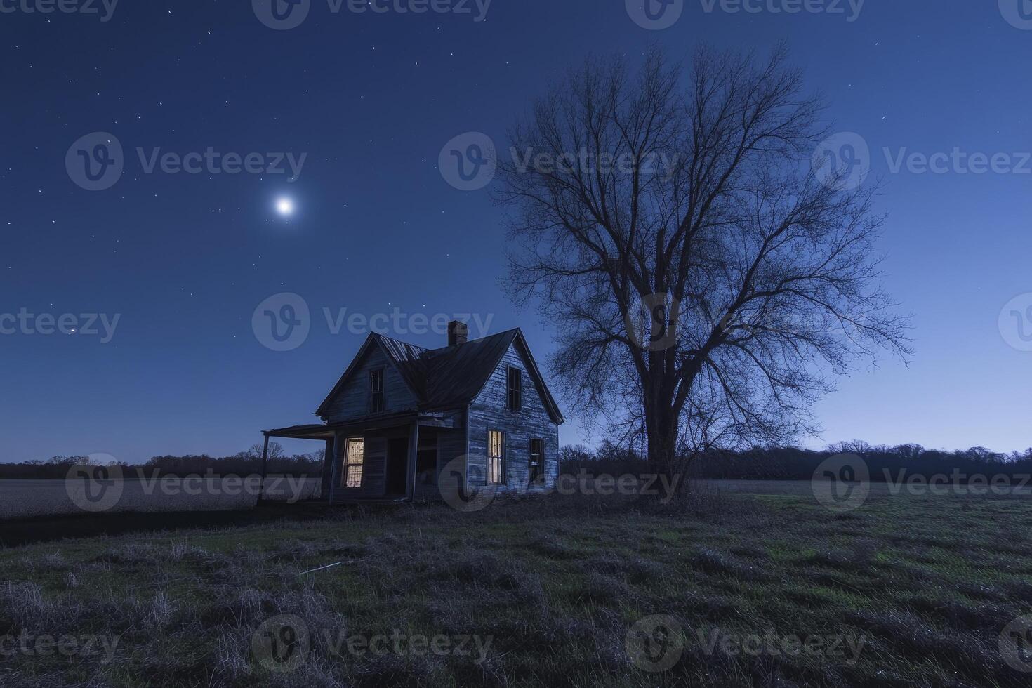 Old Abandoned House Under Starry Night Sky with Large Tree photo