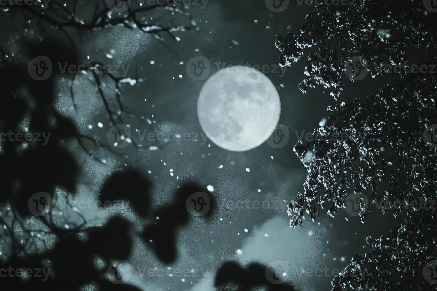 Observing Full Moon Shining Brightly Through Silhouette of Bare Trees at Night photo