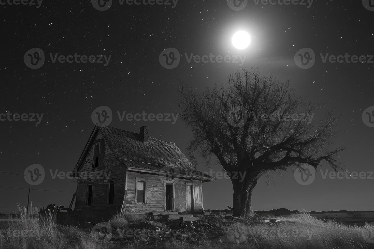 Abandoned House Under Starry Night Sky with Silhouette of Large Tree photo