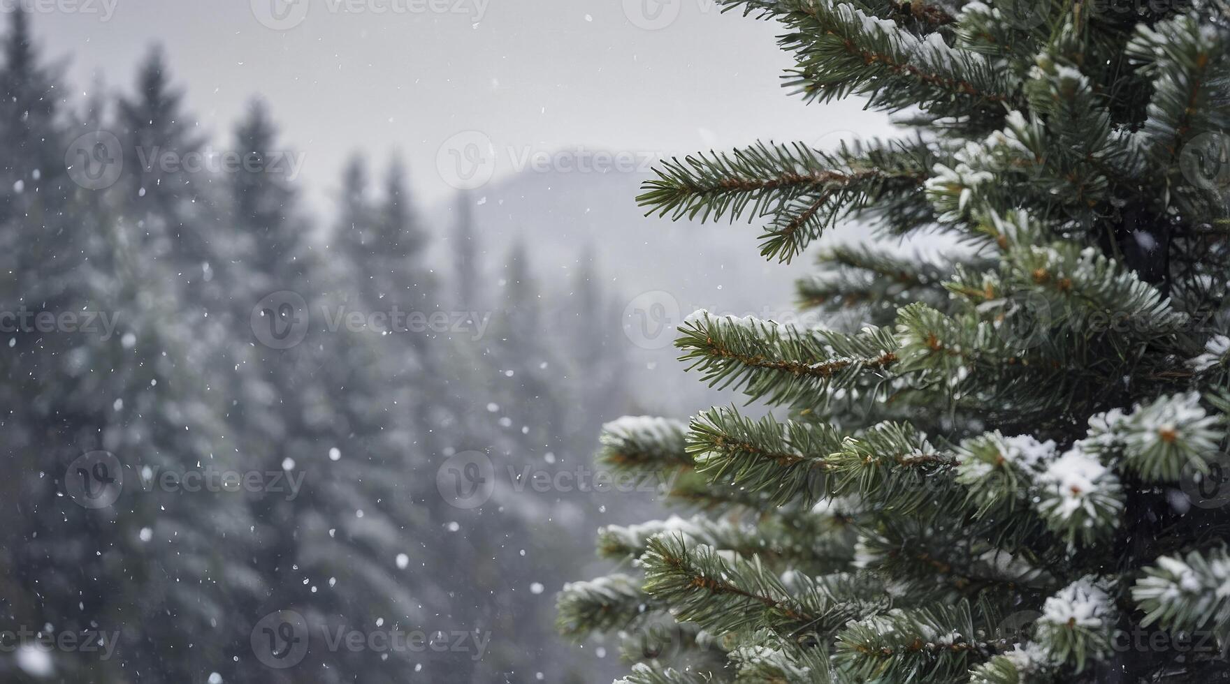 Snowfall in Forest with Pine Tree Branch Christmas Holiday Theme photo