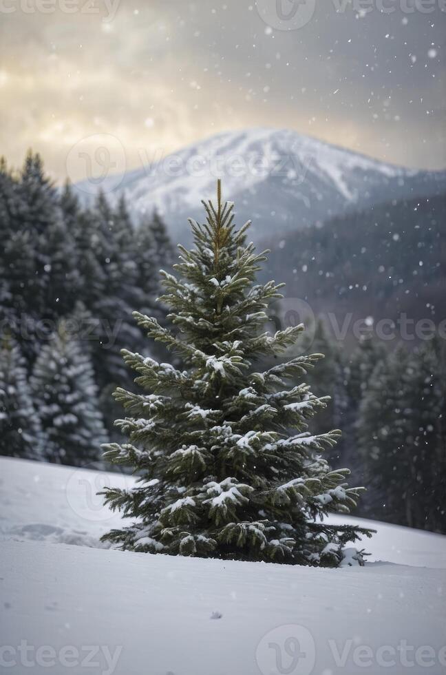 Lone Fir Tree in Snowy Mountain Landscape During Winter Snowfall photo