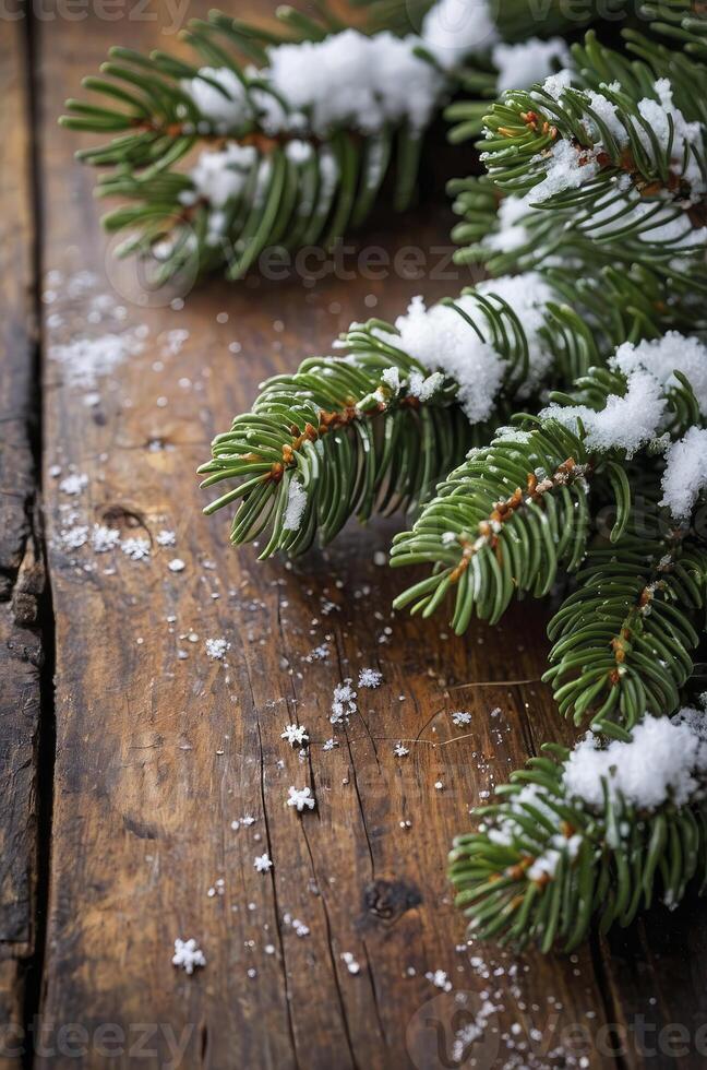 Snow Covered Fir Tree Branch on Rustic Wood for Winter Holiday photo