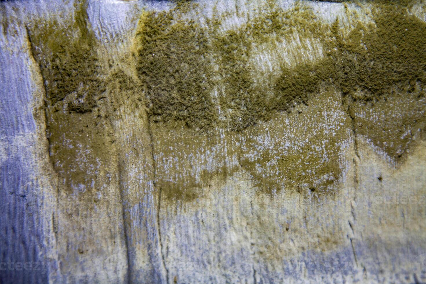 Mold growing on the factory sound insulation under the carpet of a car after flooding photo