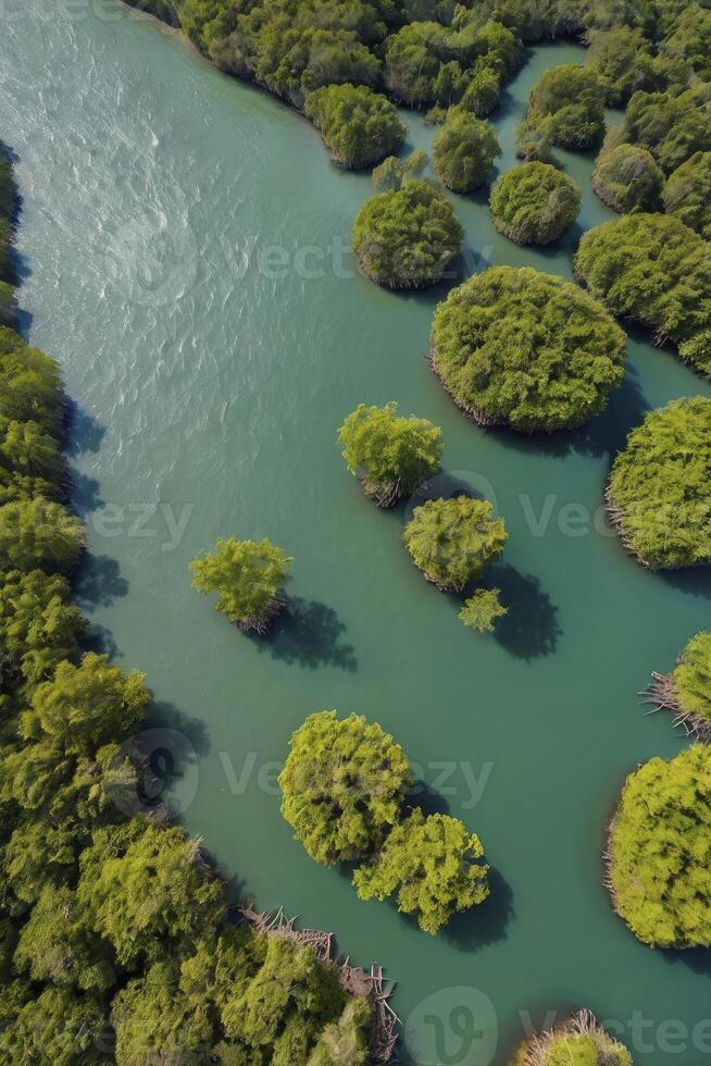 Aerial View of River and Green Forest Landscape with Small Islands photo