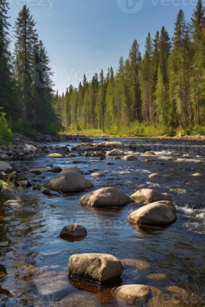 Flowing River Through Forest with Rocks and Trees on Sunny Day photo
