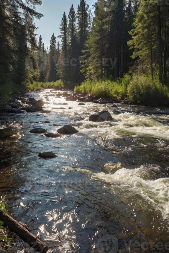 River Flowing Through Forest with Rocks and Sunlight Reflection on Water photo