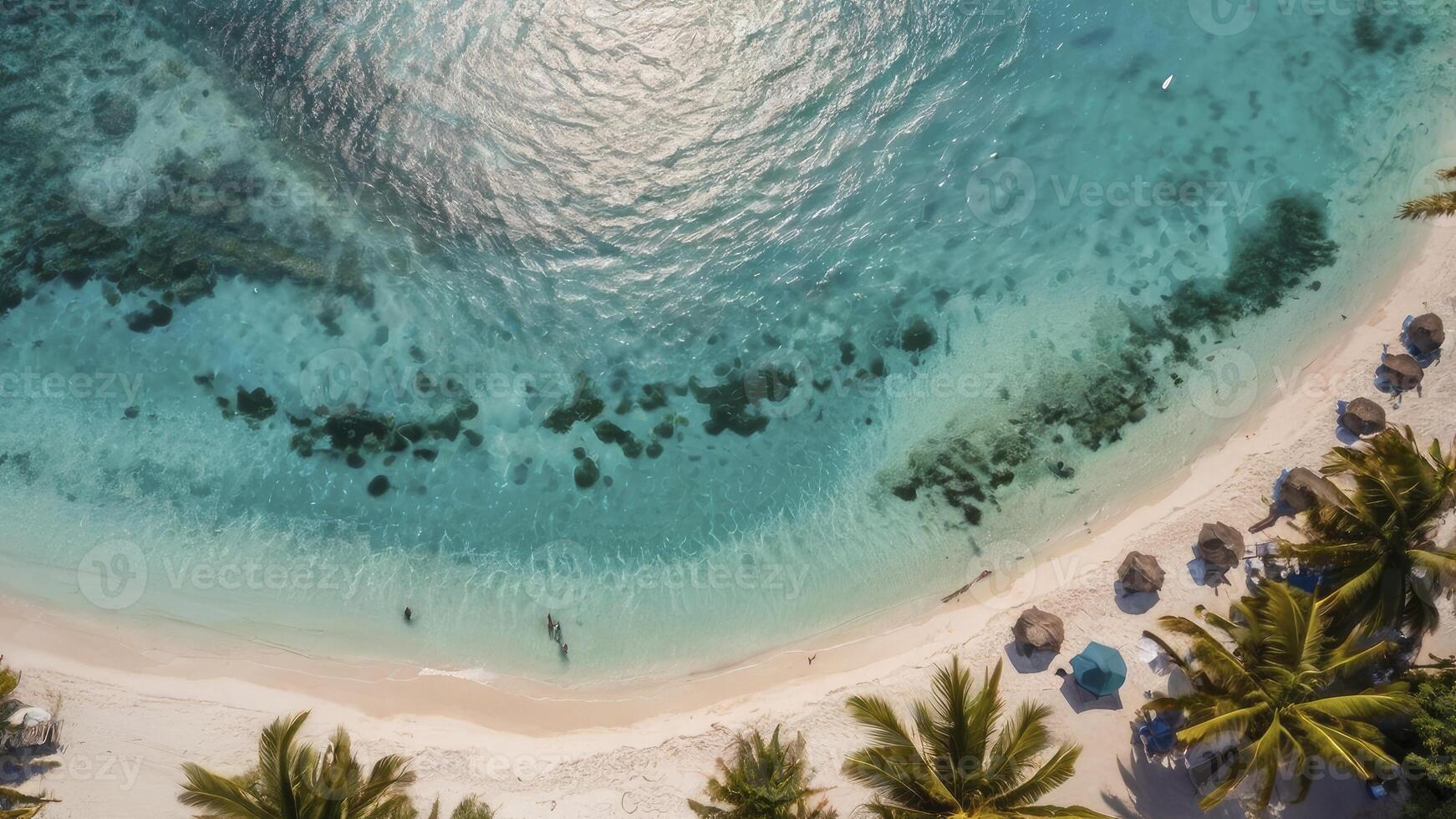 Aerial View of Tropical Beach with Turquoise Water and Palm Trees photo