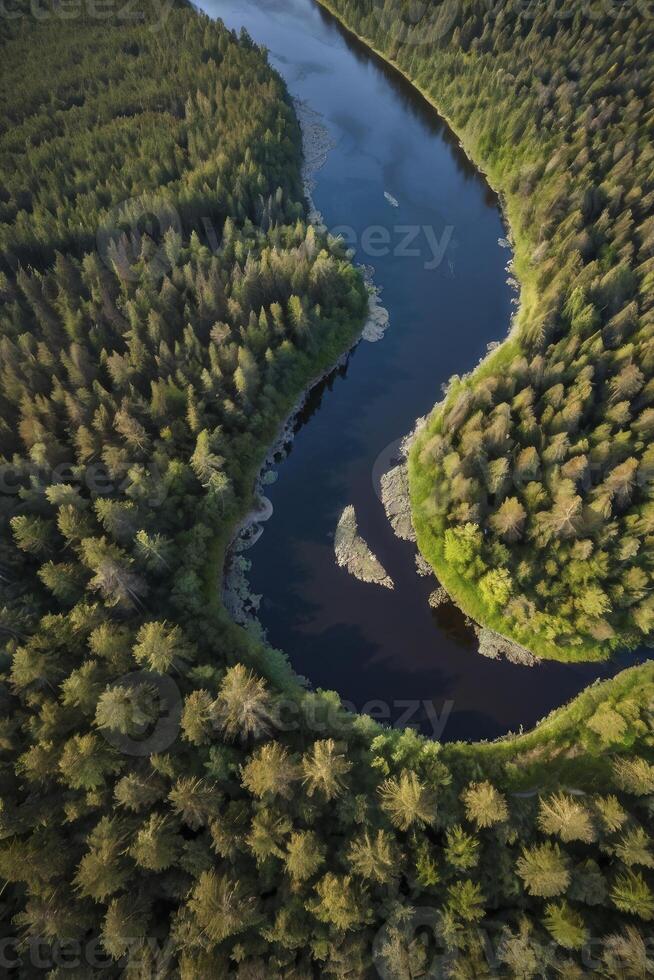 Aerial View of Winding River Through Forest Landscape in Remote Location photo
