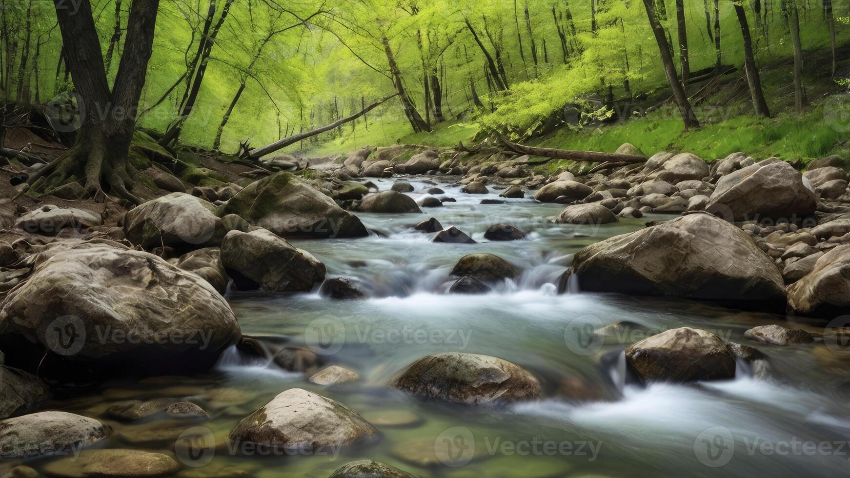 Flowing River Through Lush Green Forest Landscape with Rocks and Trees photo