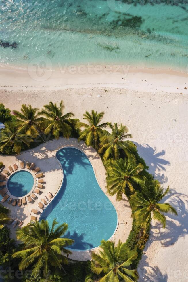 Aerial View of Tropical Beach with Swimming Pool and Palm Trees photo