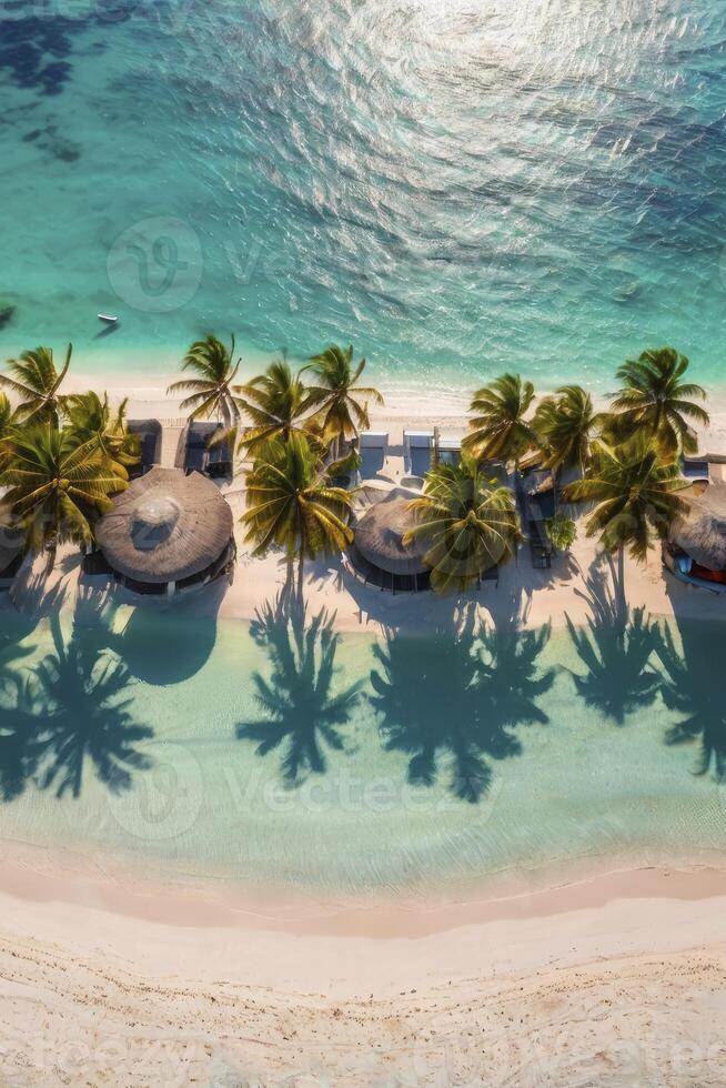Aerial View of Tropical Beach Resort with Palm Trees and Turquoise Water photo