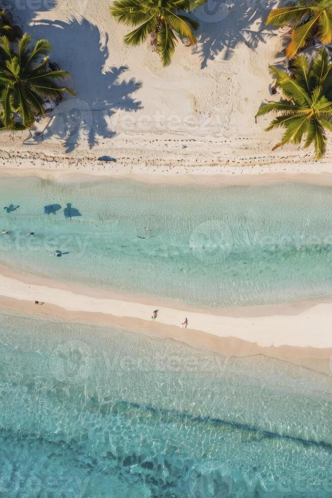 Aerial view of a tropical beach with palm trees photo