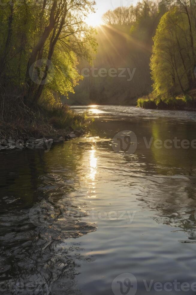 River Flowing Through Forest with Sun Shining Through the Trees photo