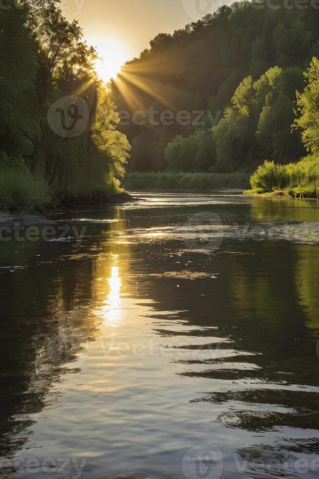 Sun Shining Over Calm River with Trees Along the Banks photo
