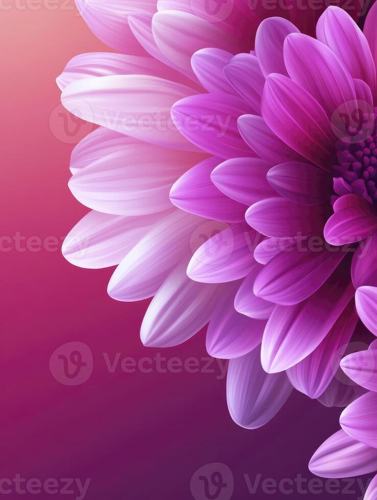 Close-up of Pink Flower Petals with Soft Gradient Background Texture photo