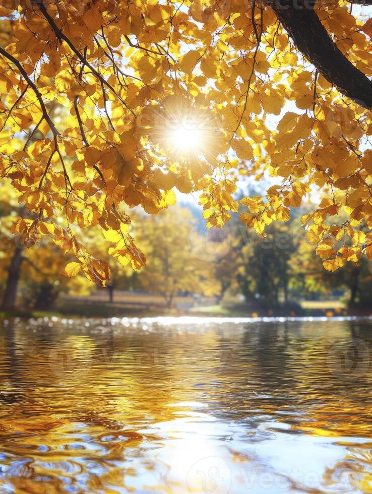 Golden Autumn Leaves Reflecting on Lake with Sunlight Breaking Through Branches photo