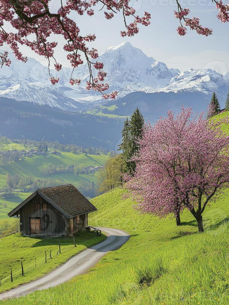 Zitate Bilder, Stock-Fotos und Hintergründen zum kostenlosen Download