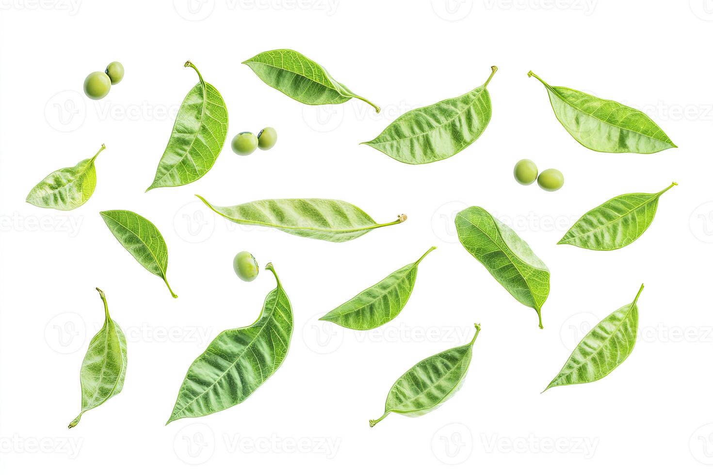 Scattered Fresh Green Leaves and Fruit on White Background Composition photo
