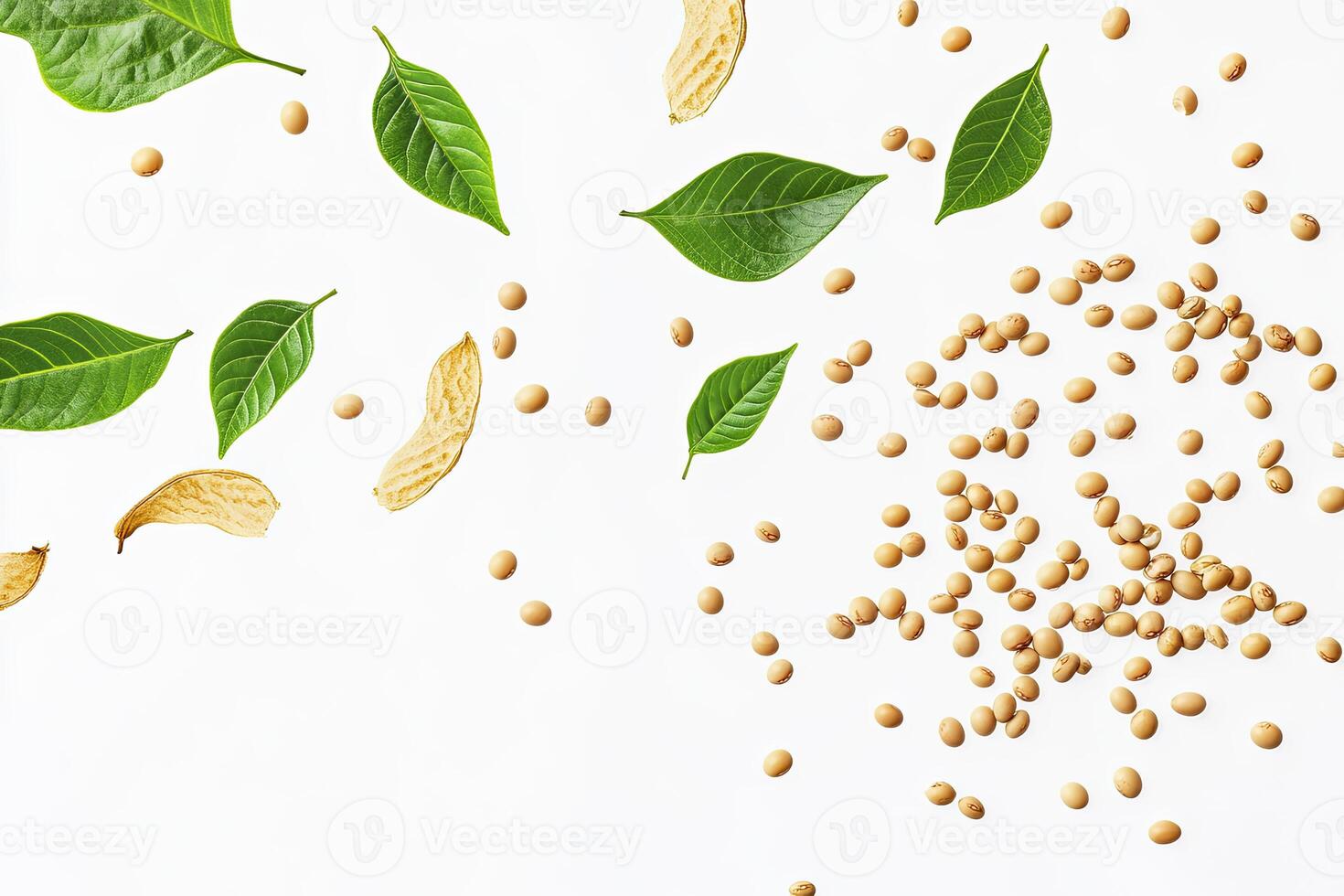Soybean and Green Leaf Layout on White Background for Healthy Food photo