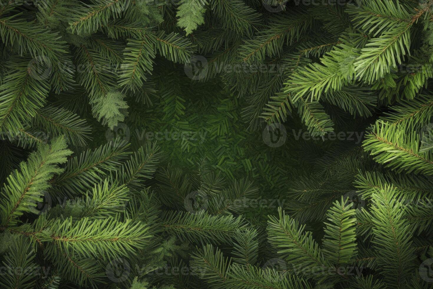 Close-up Evergreen Branches Creating Natural Frame for Holiday or Forest Designs photo